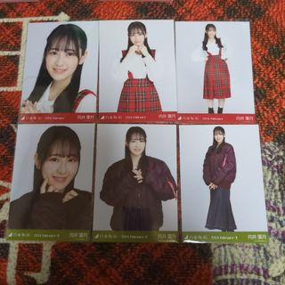 乃木坂46　タータンチェック　MA-1×スカート　向井葉月(アイドルグッズ)