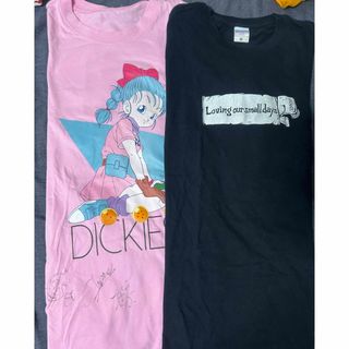 ディッキーズ(Dickies)のSHANK  半袖Tシャツ　2枚セット(ミュージシャン)