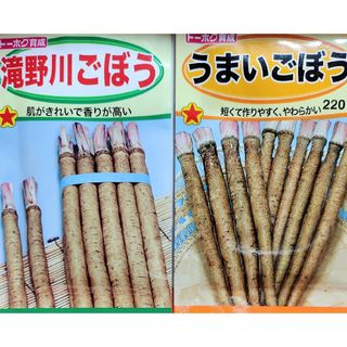 ⭐ごぼうさん育て比べ⭐2種類のタネ小分け⭐オマケ2種類付★合計４種類(¥300)(その他)