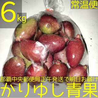 沖縄県産　摘果マンゴー/青マンゴー約６kg【常温便無料】①(フルーツ)