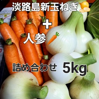 淡路島新玉ねぎと春人参、旬の野菜セット5kg(野菜)
