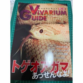 ビバリウムガイド 2019年 03月号 [雑誌](その他)