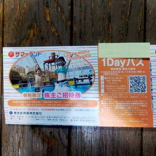 【専用】りりん様  サマーランド 株主優待   ４枚【エンタメ】(その他)