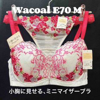 Wacoal - E70 ワコール　小胸に見せる　ブラジャー &ショーツ レシアージュ