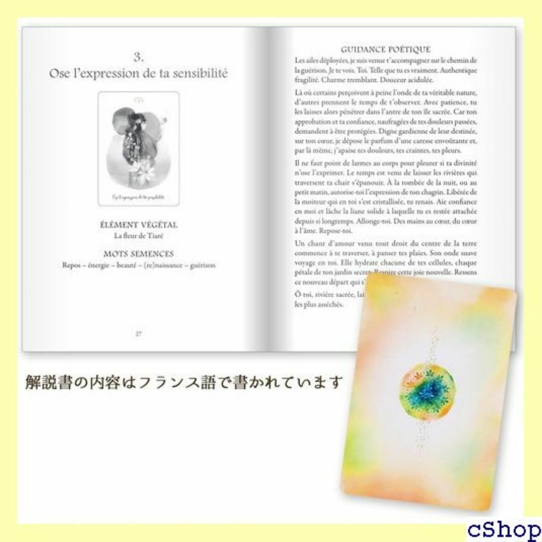 ヒーリングウーマンのオラクル オラクルカードの意味 日本語 トカード 占い 42 エンタメ/ホビーのエンタメ その他(その他)の商品写真