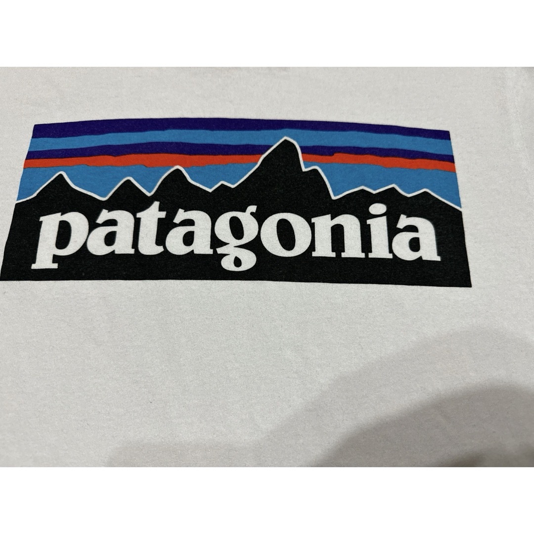 patagonia(パタゴニア)のパタゴニア Tシャツ メンズのトップス(Tシャツ/カットソー(半袖/袖なし))の商品写真