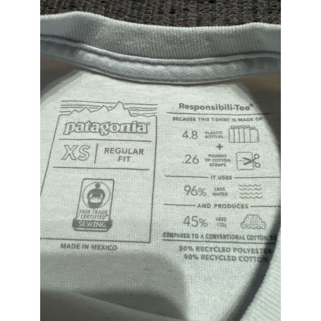 patagonia(パタゴニア)のパタゴニア Tシャツ メンズのトップス(Tシャツ/カットソー(半袖/袖なし))の商品写真