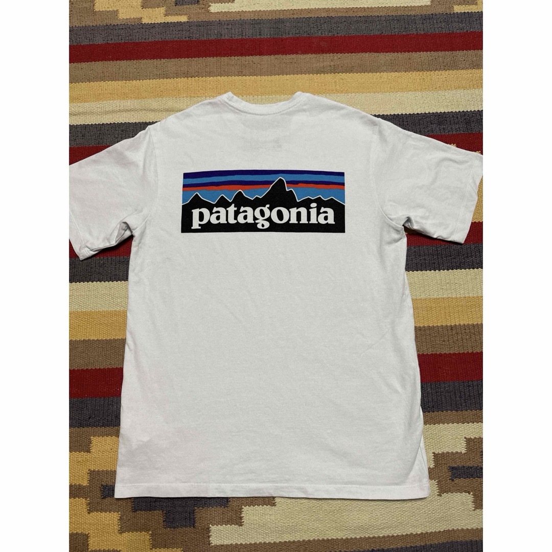 patagonia(パタゴニア)のパタゴニア Tシャツ メンズのトップス(Tシャツ/カットソー(半袖/袖なし))の商品写真