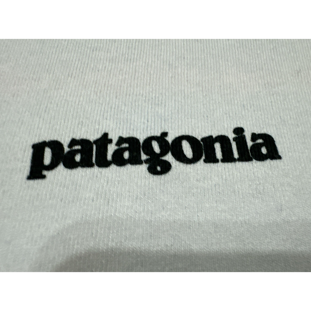 patagonia(パタゴニア)のパタゴニア Tシャツ メンズのトップス(Tシャツ/カットソー(半袖/袖なし))の商品写真