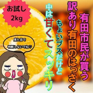 お試し！減農薬!濃くて甘くて安心で安い！有田のはっさく 八朔 2kg(フルーツ)