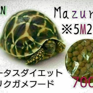 mazuri トータスダイエット5M21 700g リクガメフード(爬虫類/両生類用品)