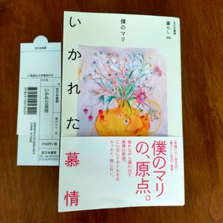 いかれた慕情 僕のマリ(文学/小説)