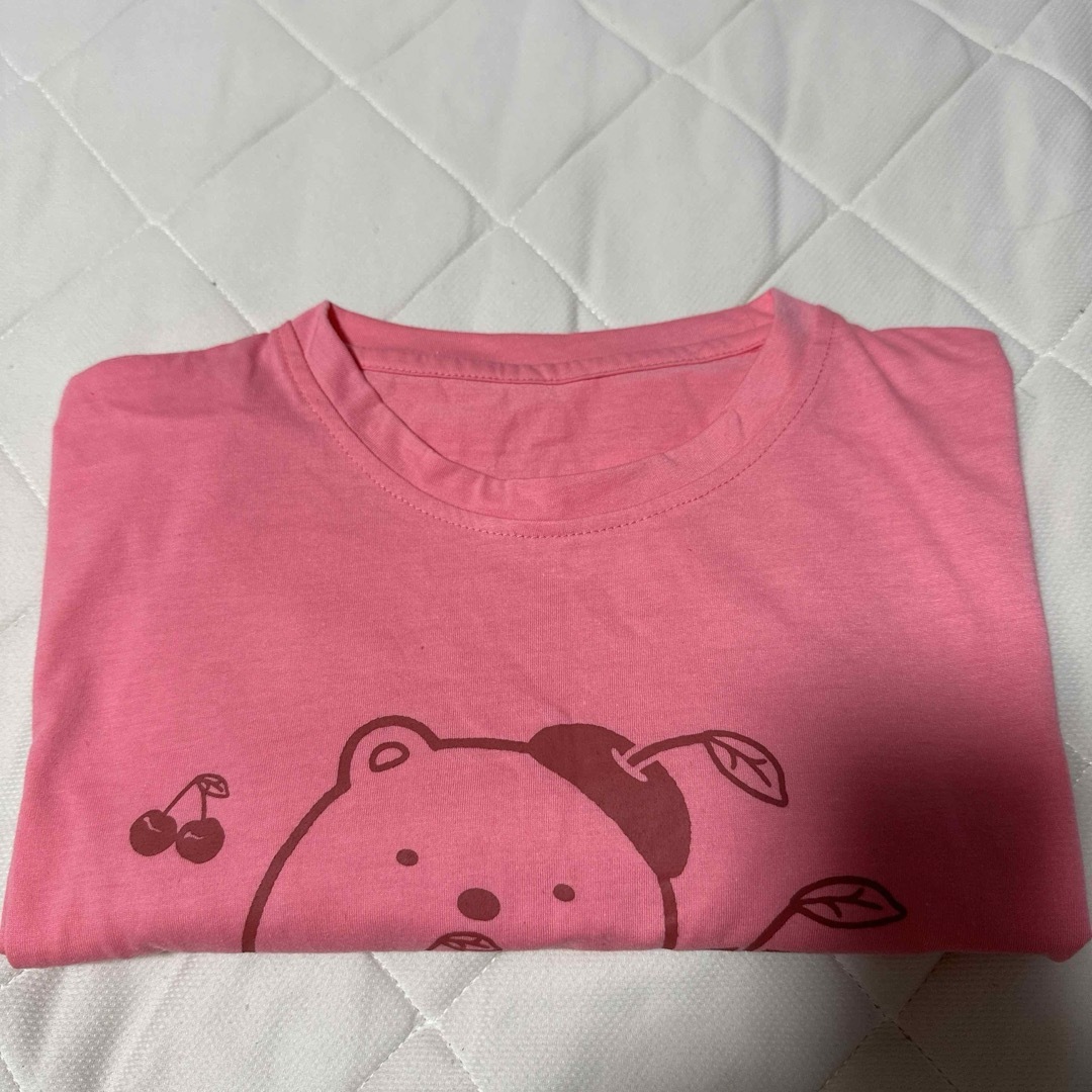 すみっコぐらし(スミッコグラシ)のすみっコぐらし BIG Tシャツ３ ぺんぺんフルーツ レディースのトップス(Tシャツ(半袖/袖なし))の商品写真