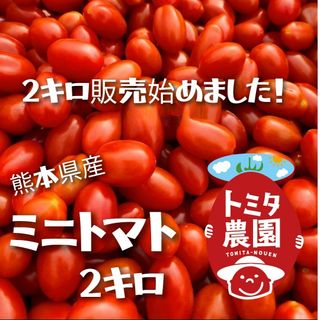 熊本県産ミニトマト「茜とまと2キロ」(野菜)