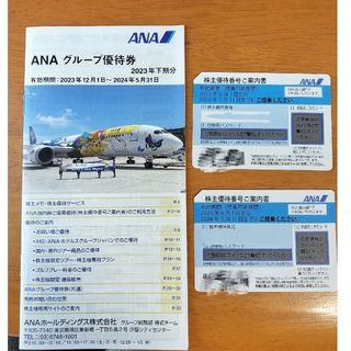 エーエヌエー(ゼンニッポンクウユ)(ANA(全日本空輸))の2024年5月31日期限（未使用）ANA　株主優待　2枚（送料込）(航空券)