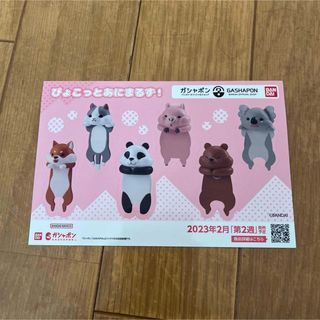 バンダイ(BANDAI)のぴょこっとあにまるず  ステッカー  ガシャポン(ノベルティグッズ)