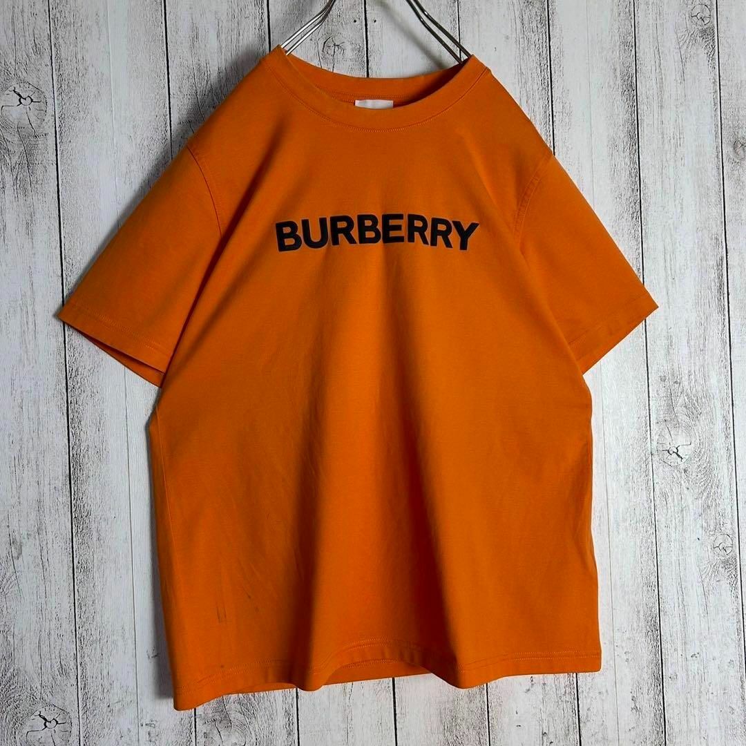 BURBERRY(バーバリー)の【現行】バーバリー☆センターロゴ入りTシャツ ティッシ期 オレンジ 即完売注意 レディースのトップス(Tシャツ(半袖/袖なし))の商品写真