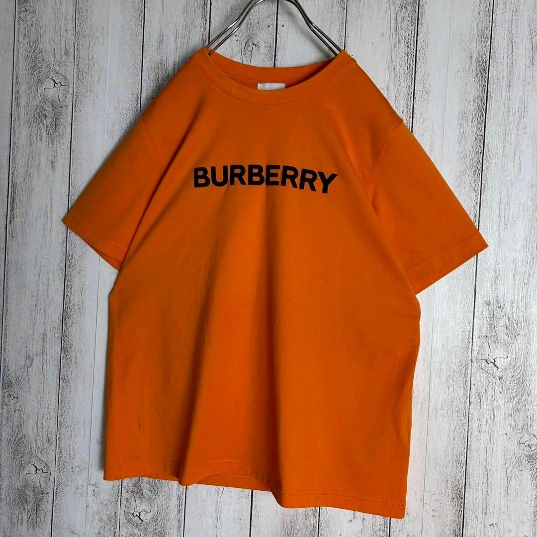 BURBERRY(バーバリー)の【現行】バーバリー☆センターロゴ入りTシャツ ティッシ期 オレンジ 即完売注意 レディースのトップス(Tシャツ(半袖/袖なし))の商品写真