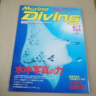 ダイビング雑誌 2020年6月7月(趣味/スポーツ)