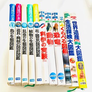 【DVD付き】小学館・学研 貴重図鑑11冊セット(絵本/児童書)