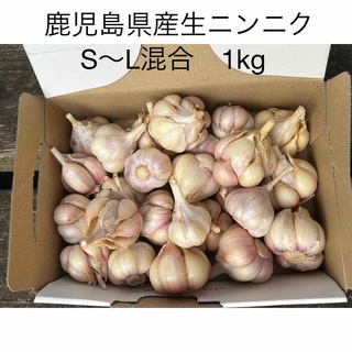 鹿児島県産生ニンニク　球1kg(野菜)