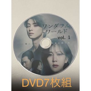 ワンダフルワールド　全14話　DVD  7枚　チャウヌ　韓国ドラマ　韓国(その他)