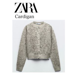 ZARA - 【期間限定セール】大人気ZARAメタリックトップス