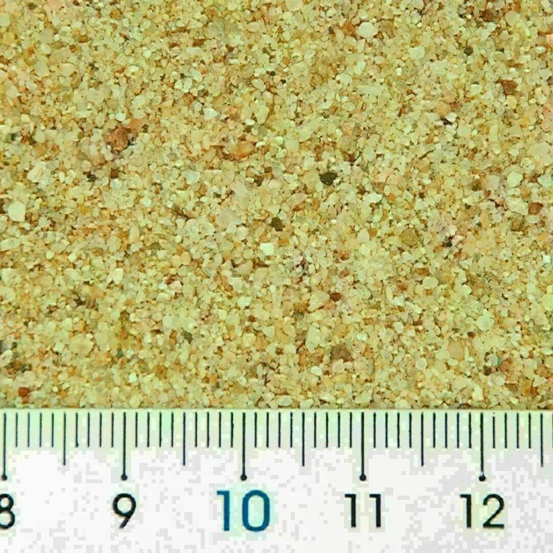 ボトムサンド 1kg コリドラス ドジョウ アクアリウム 天然砂 その他のペット用品(アクアリウム)の商品写真