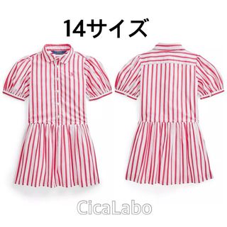 ラルフローレン(Ralph Lauren)の【新品】ラルフローレン 半袖 シャツ ワンピース 赤ストライプ 14 (ワンピース)