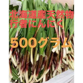 北海道産天然物行者にんにく　　500グラム(野菜)