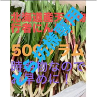 北海道産天然物行者にんにく　　500グラム(野菜)