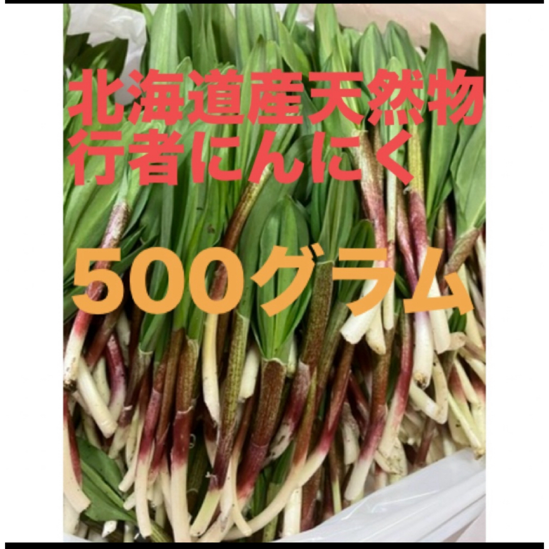 北海道産天然物行者にんにく　　500グラム 食品/飲料/酒の食品(野菜)の商品写真
