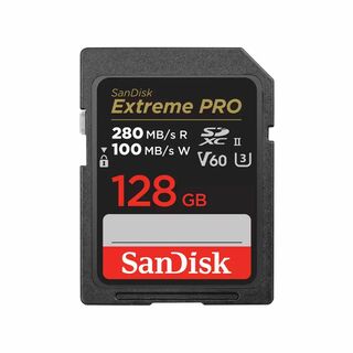 SANDISK　SDSDXEP-128G-JNJIP [128GB](その他)