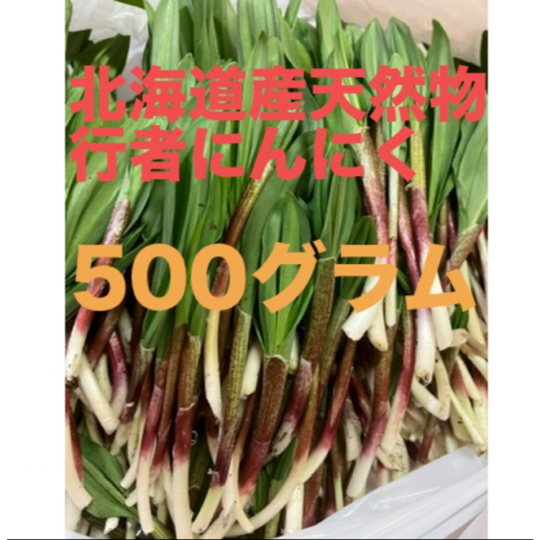 北海道産天然物行者にんにく　　500グラム 食品/飲料/酒の食品(野菜)の商品写真