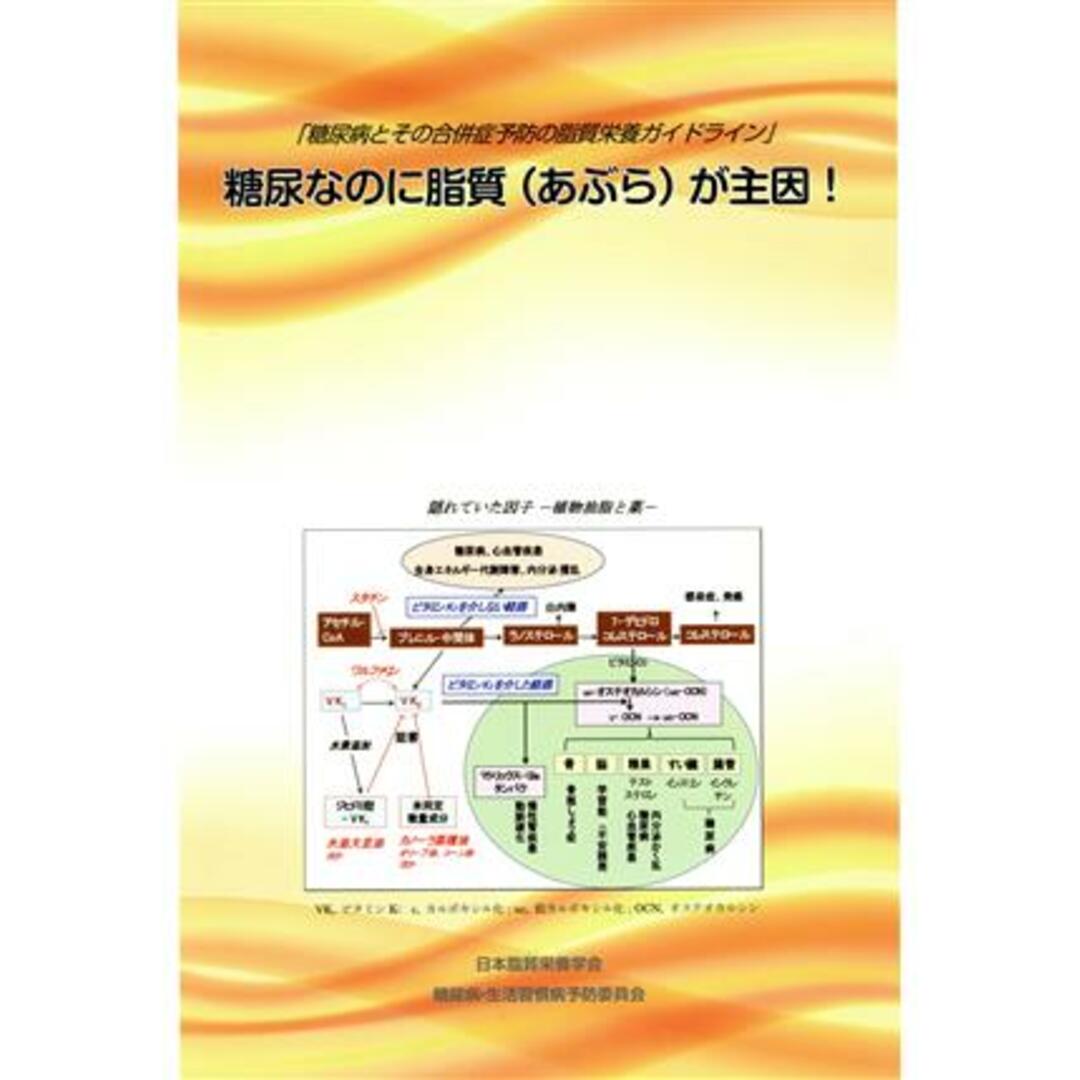 糖尿なのに脂質が主因！ 糖尿病とその合併症予防の脂質栄養ガイドライン／日本脂質栄養学会(著者),糖尿病・生活習慣病予防委員会(著者) エンタメ/ホビーの本(健康/医学)の商品写真