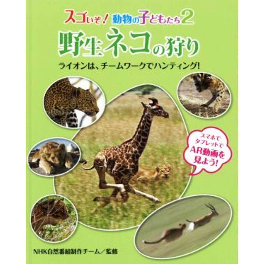 野生ネコの狩り ライオンは、チームワークでハンティング！ スゴいぞ！動物の子どもたち２／ＮＨＫ自然科学番組制作チーム エンタメ/ホビーの本(絵本/児童書)の商品写真