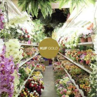 【輸入盤】ＧＯＬＤ(クラブ/ダンス)