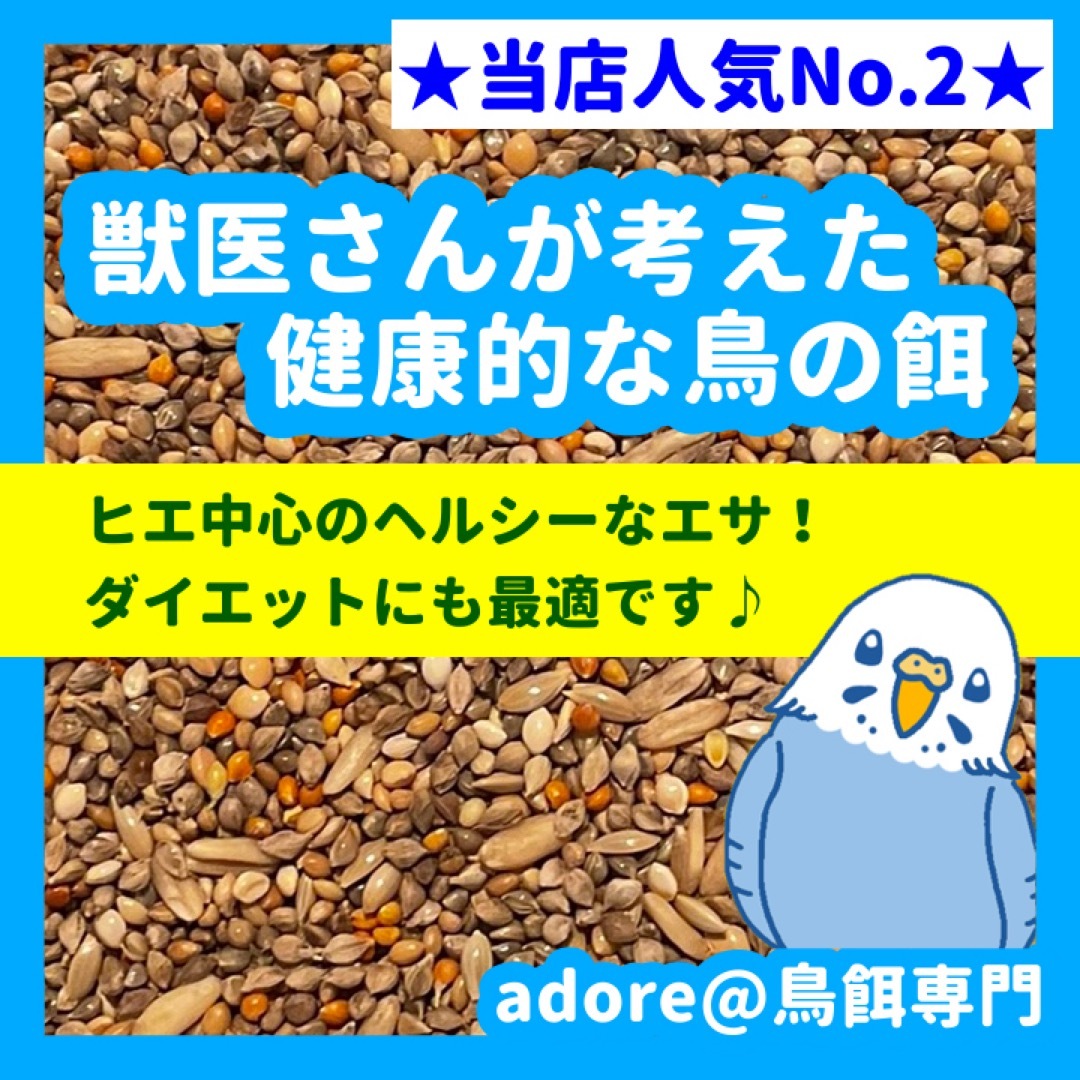 【2番人気商品】獣医さんが考えた健康的な鳥の餌 800ｇ その他のペット用品(鳥)の商品写真