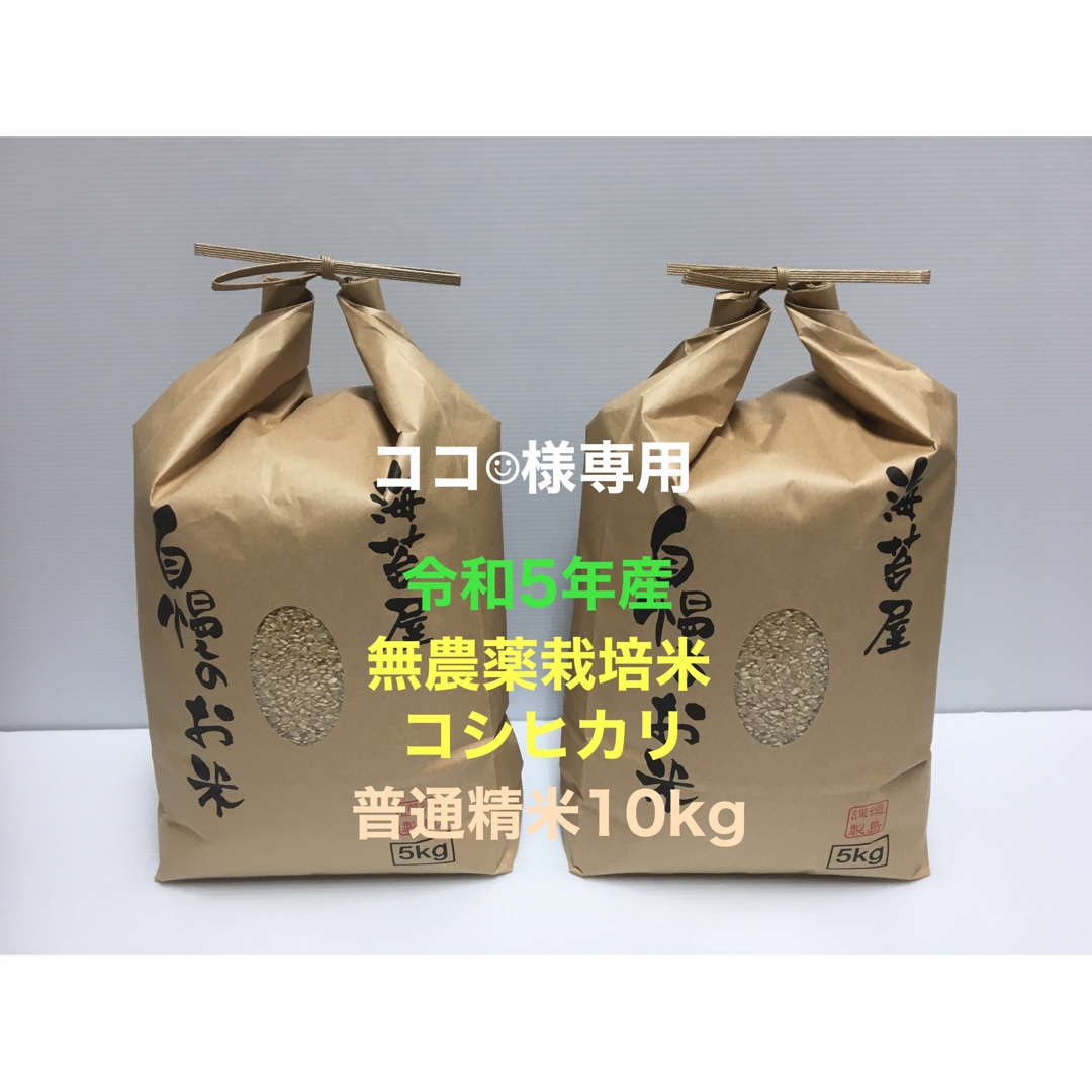 ココ☺︎様専用 無農薬コシヒカリ普通精米10kg(5kg×2)令和5年産 食品/飲料/酒の食品(米/穀物)の商品写真