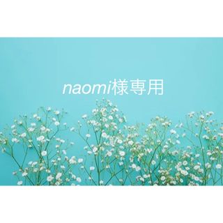 ユナイテッドアローズグリーンレーベルリラクシング(UNITED ARROWS green label relaxing)のnaomi様専用(水着)