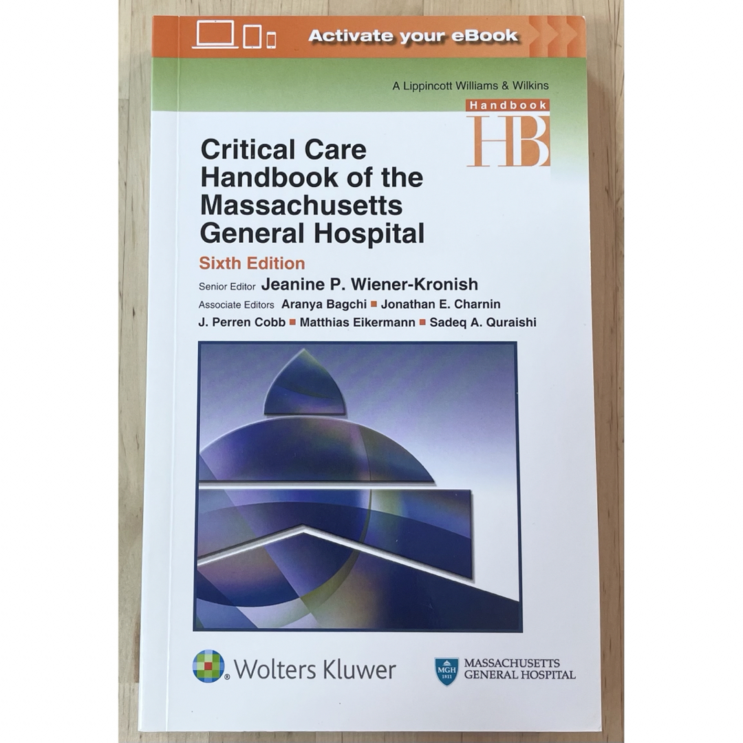 Ｃｒｉｔｉｃａｌ　Ｃａｒｅ　Ｈａｎｄｂｏｏｋ　ｏｆ　ｔｈｅ エンタメ/ホビーの本(洋書)の商品写真