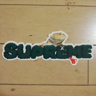 シュプリーム(Supreme)のSUPREME LIZARD STICKER(その他)