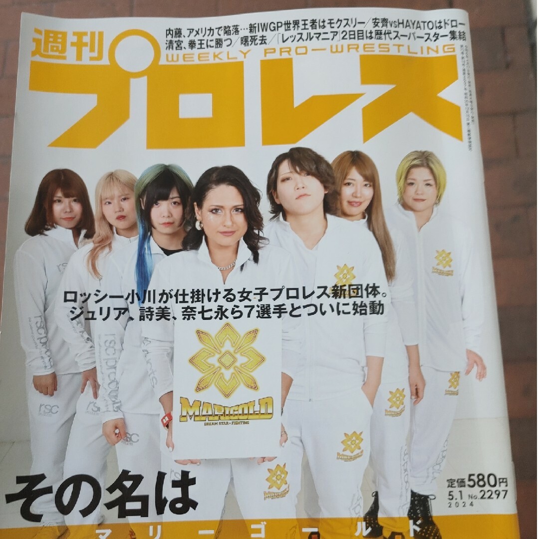 週刊プロレス最新号 エンタメ/ホビーの雑誌(趣味/スポーツ)の商品写真