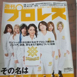 週刊プロレス最新号(趣味/スポーツ)