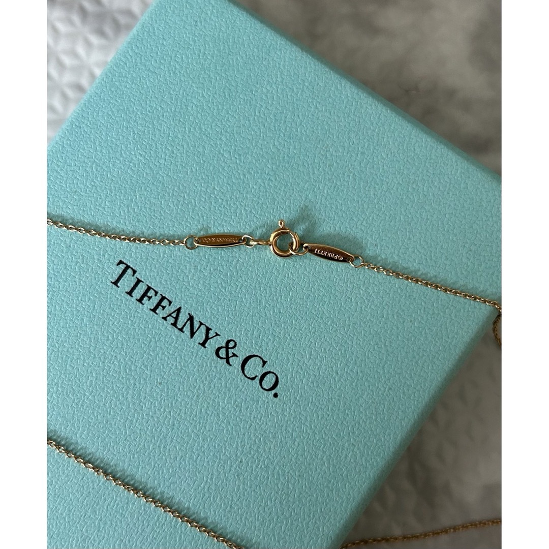 Tiffany & Co.(ティファニー)のティファニー　バイザヤードネックレス レディースのアクセサリー(ネックレス)の商品写真