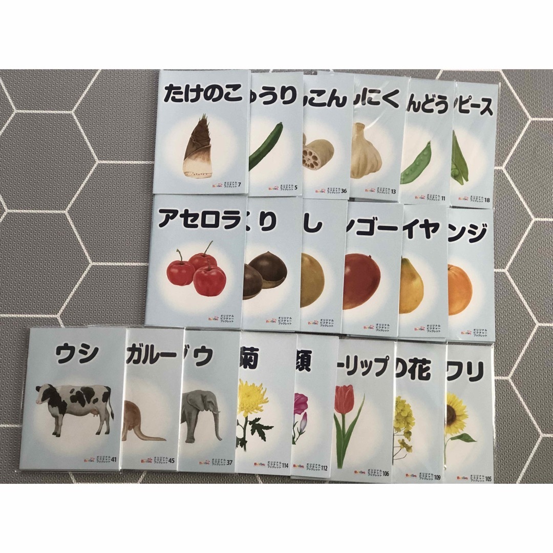 ベビーパーク　ピクチャーブックレット　セット エンタメ/ホビーの本(絵本/児童書)の商品写真