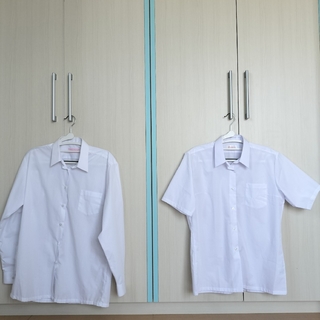 女子　学生Yシャツ  170  2枚セット(Tシャツ(長袖/七分))