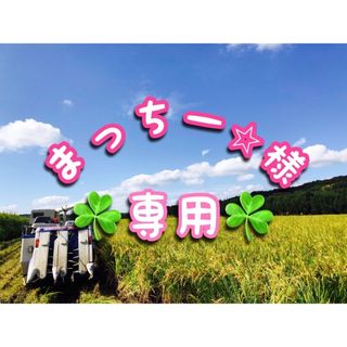 まっちー⭐︎様✨専用令和5年兵庫県産ヒノヒカリ20kg送料•精米無料•時間指定🆗(米/穀物)