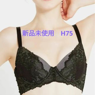 元祖脇肉キャッチャー　H75