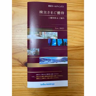 株式会社西武ホールディングス 株主優待ご優待冊子1冊